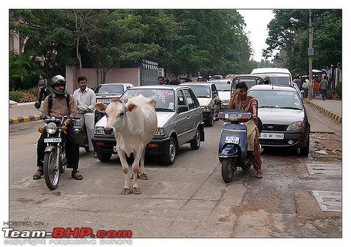 Rants on Bangalore's traffic situation-too-good.jpg