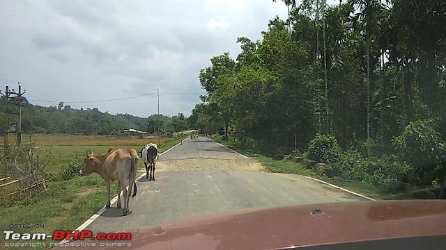 Name:  Broken roads in Assam.png
Views: 698
Size:  386.4 KB