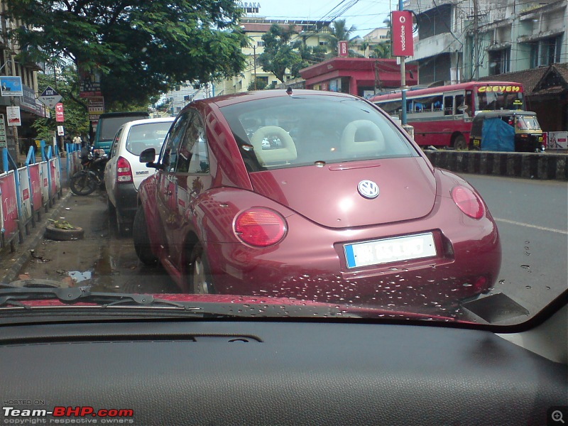 Supercars & Imports : Kerala-betel.jpg