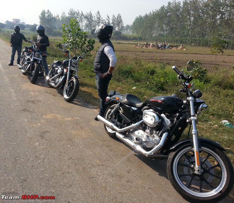 Harley Davidson Superlow XL883L - The Comprehensive Review-harley-ride-17112013_1.jpg