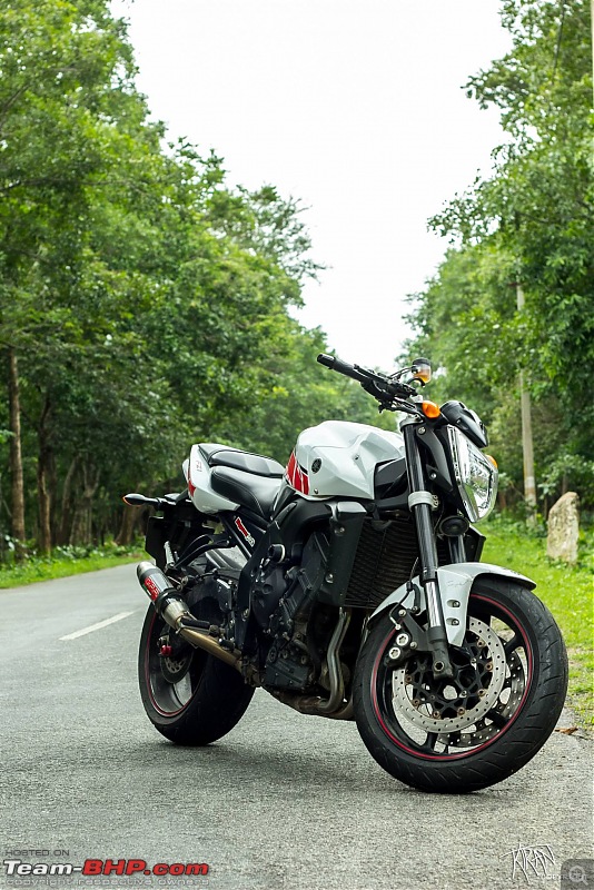 Story of my Fizzy Monster - The Yamaha FZ1-1097048_482067085218947_870276156_o.jpg