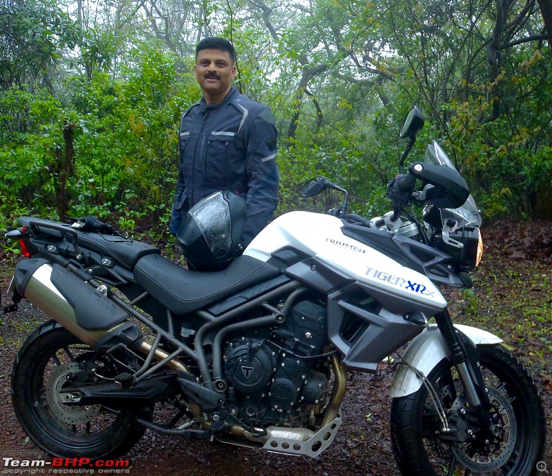 Triumph Tiger XRx : 6000 km ownership review!-tiger-.me-forest.jpg