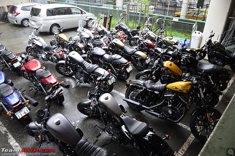 Riding Harley-Davidsons in Japan - Street 750, Forty-Eight and Iron 883-_dsc2576.jpg