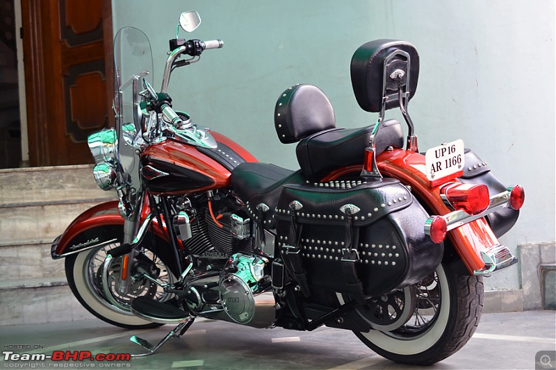 Harley-Davidson Heritage Softail Classic FLSTC: The Comprehensive Review-grasshopper-rider-backrest_2.jpg