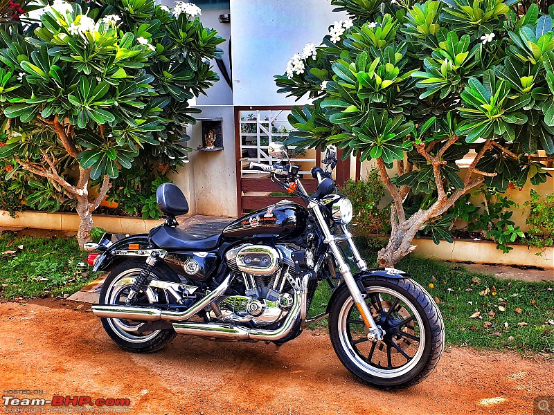 My pre-owned Harley Davidson Superlow XL883L-img_20200607_132328_323.jpg