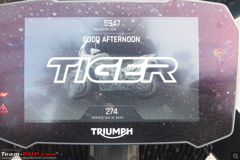 Triumph Tiger 900 Rally Pro - A Close Look-pa302517-large.jpg