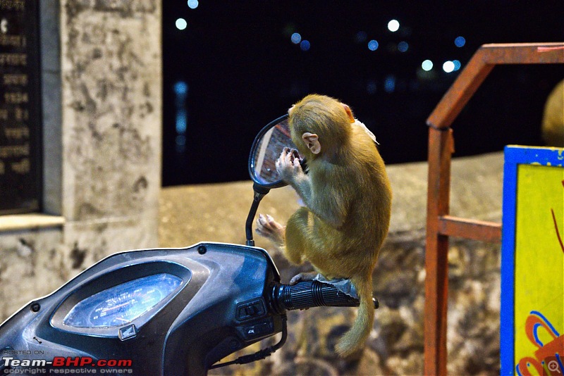 Beaky flies to Rajasthan via Uttarakhand - A Travelogue on my Suzuki V-Strom 650 XT-122.jpg