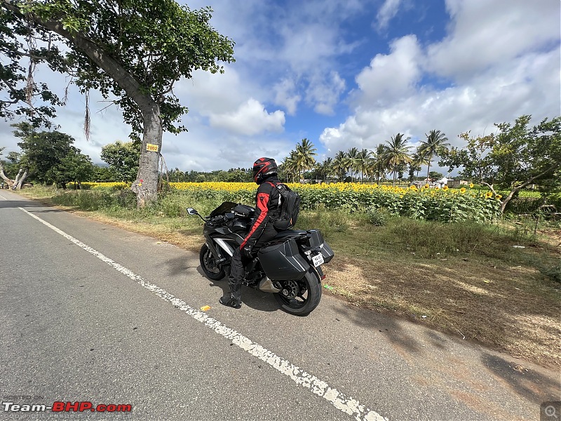 Living an evolved dream: My 2019 Kawasaki Ninja 1000 ownership review. Edit: 5 years up!-img_8752.jpg