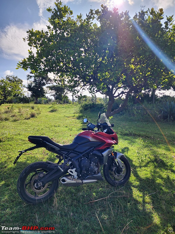 One bike to tame them all! | Part - II | My Triumph Tiger Sport 660. Edit: 15,000 kms up!-20230917_082302.jpg