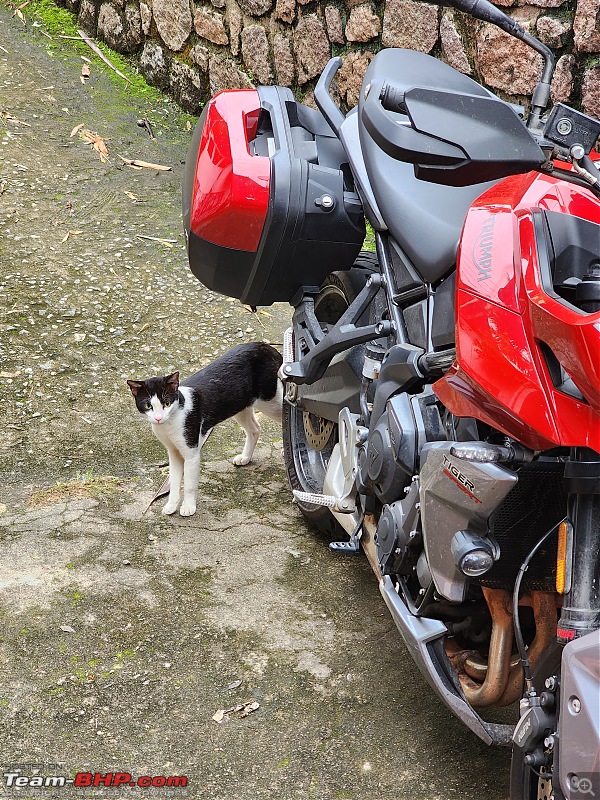 One bike to tame them all! | Part - II | My Triumph Tiger Sport 660. Edit: 15,000 kms up!-20230708_105116.jpg