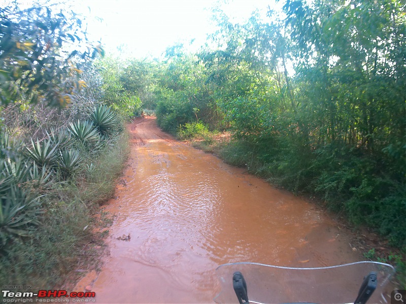 One bike to tame them all! | Part - II | My Triumph Tiger Sport 660. Edit: 20,000 kms up!-aatp1637.jpg