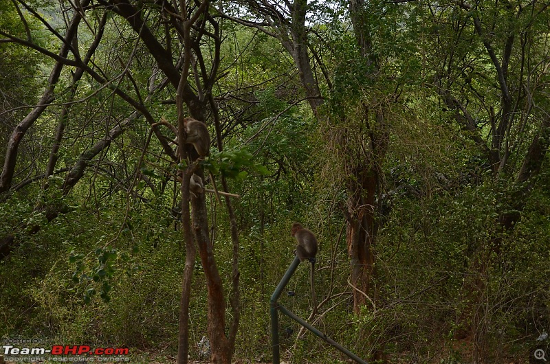 Team-BHP Meet @ Ooty : 9th-10th July, 2016-dsc_5468.jpg