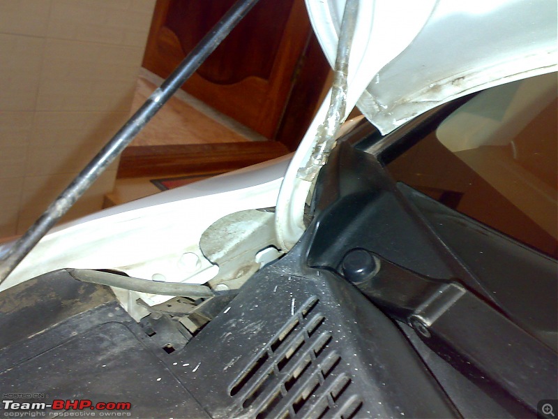 Rat damage to cars | Protection, solutions & advice-22022009091.jpg