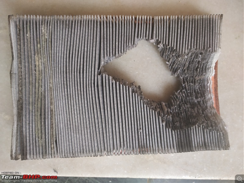 Double heart attack & the aftermath = Rat chews up my air filter-5.jpg