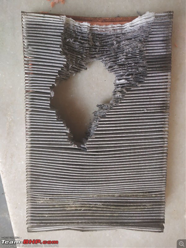 Double heart attack & the aftermath = Rat chews up my air filter-6.jpg