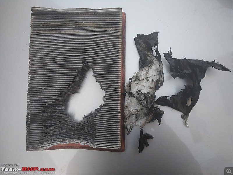 Double heart attack & the aftermath = Rat chews up my air filter-7.jpg