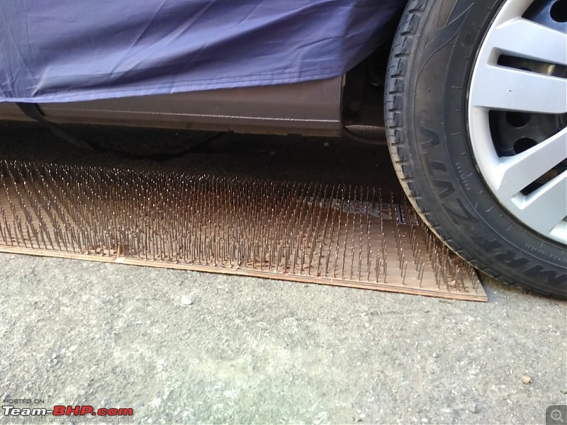 Rat damage to cars | Protection, solutions & advice-img20201228wa0020.jpg