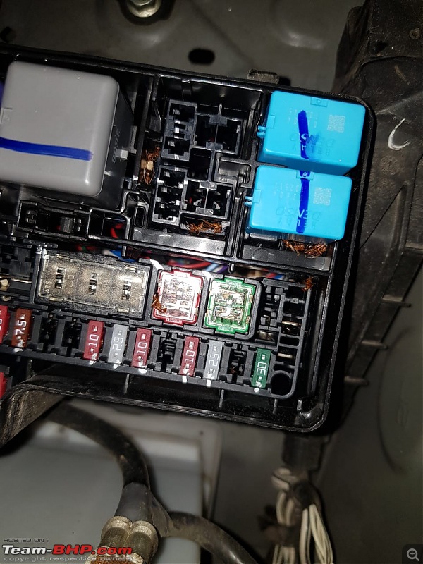 Toyota Innova Crysta | Ants in junction box | Problems with cruise control & braking-ant3.jpeg