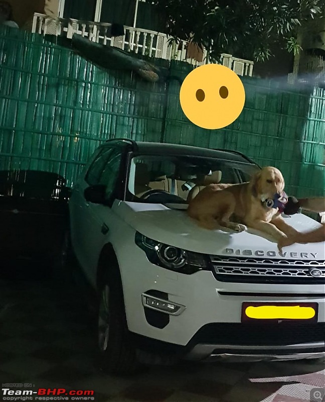 Meet Panda! My Land Rover Discovery Sport "HSE Dynamic Lux"-whatsapp-image-20180812-1.43.49-pm.jpeg