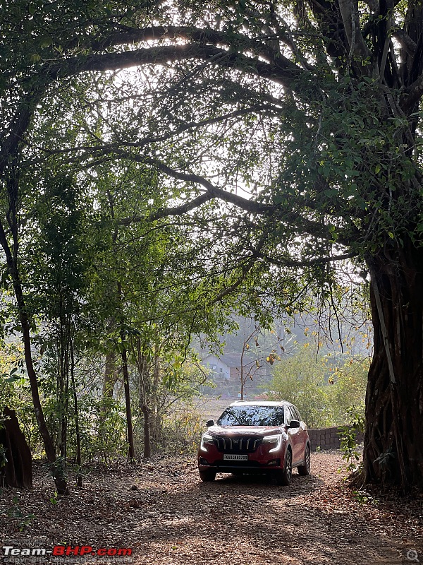 Reincarnating Orange Cheetah | TheRedSparkle Mahindra XUV700 AX7L AWD | 70,000 kms up!-dandeli7.jpeg