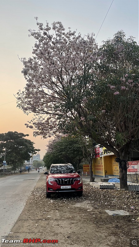 Reincarnating Orange Cheetah | TheRedSparkle Mahindra XUV700 AX7L AWD | 70,000 kms up!-flowers1.jpeg