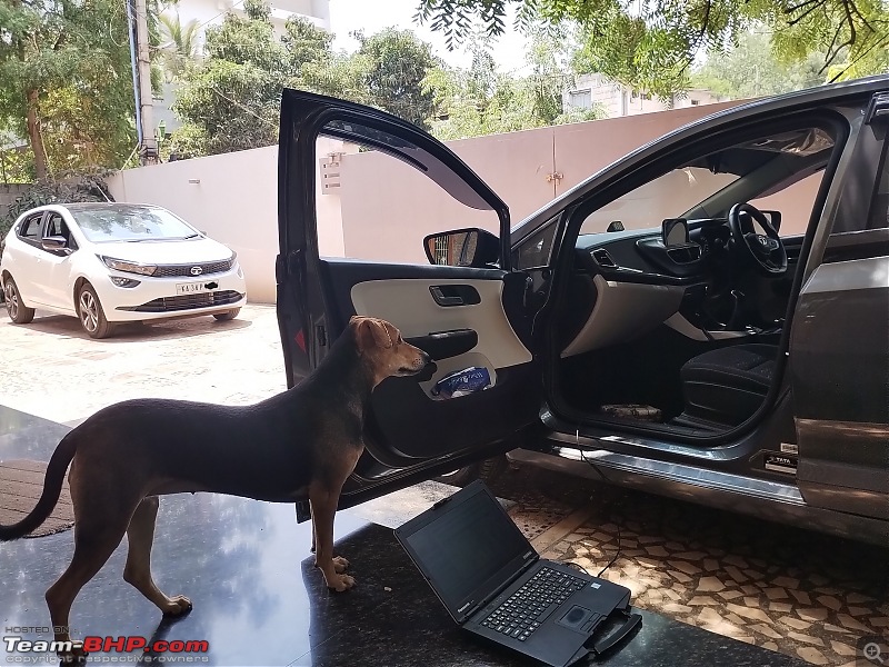 Tata Altroz Diesel Review | Pros, Cons & AC software update woes-doggo-inspecting-tasc-work.jpg