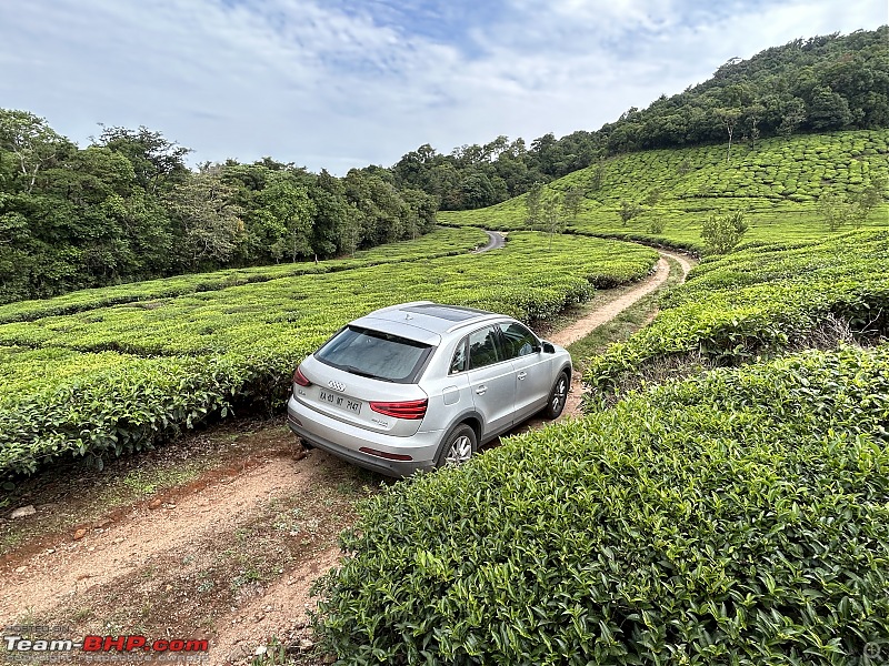 I Love Lucy - My "Stolen" Audi Q3-img_1342.jpg