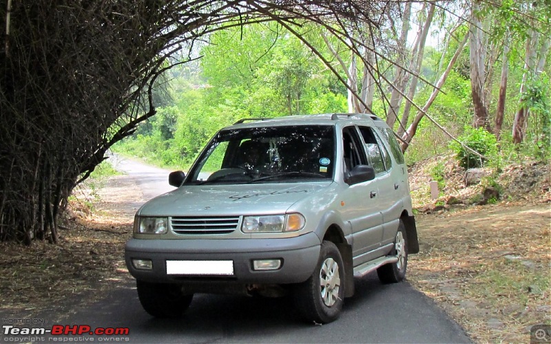 The Joy of Living a Dream - Honda Civic S MT (Pre-Owned)-safari.jpg