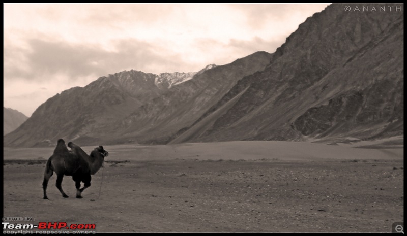 7 Days in Heaven : The Ladakh Escapade!!-img_2855.jpg