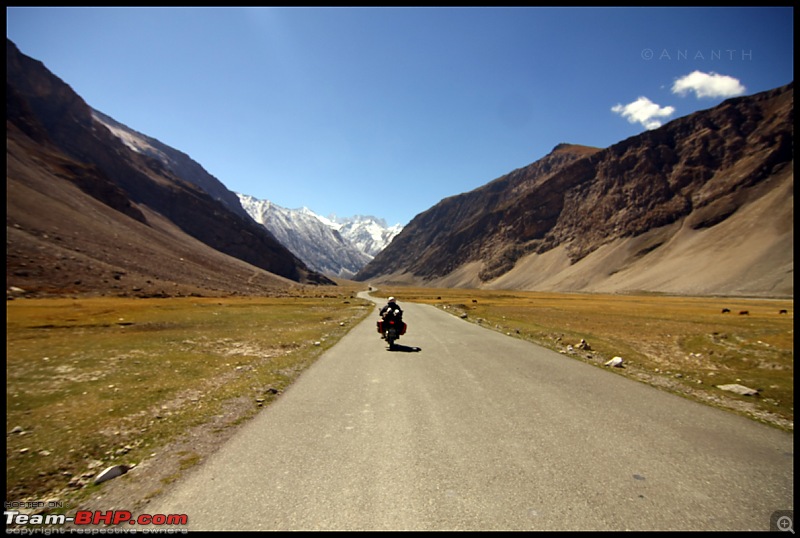 7 Days in Heaven : The Ladakh Escapade!!-img_3781.jpg