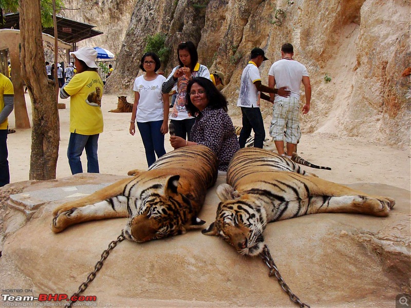 Thailand | Third Time-tiger-10.jpg