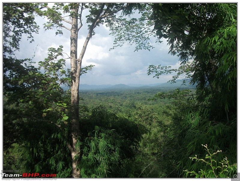 Rambling inside the forests of Jharkhand-79.jpg