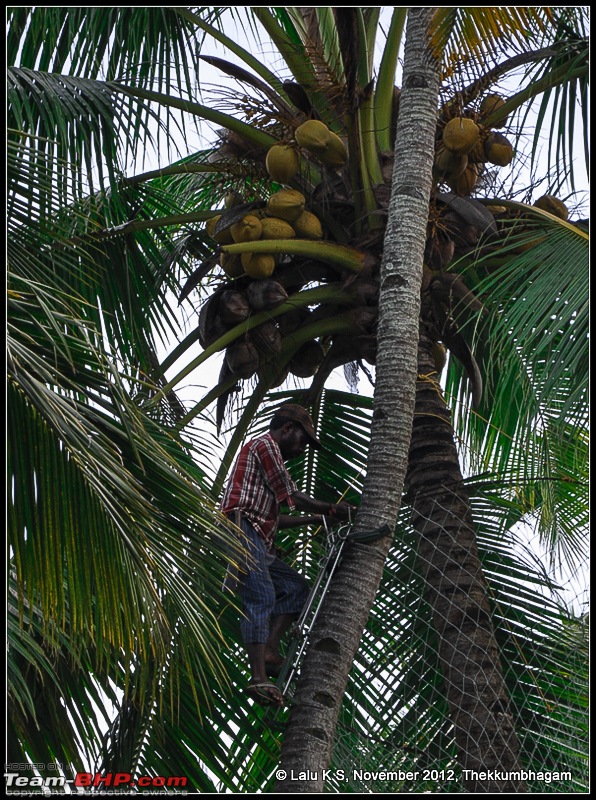 Civved : Thiruvananthapuram, Kollam - A Journey Back to Our Roots-dsc_7478.jpg