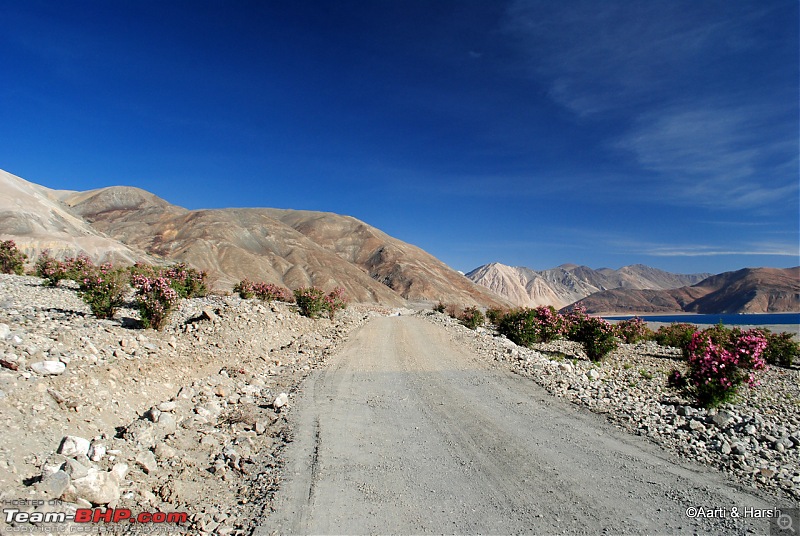 Six Wanderers Ride to Ladakh-05dsc_6519.jpg