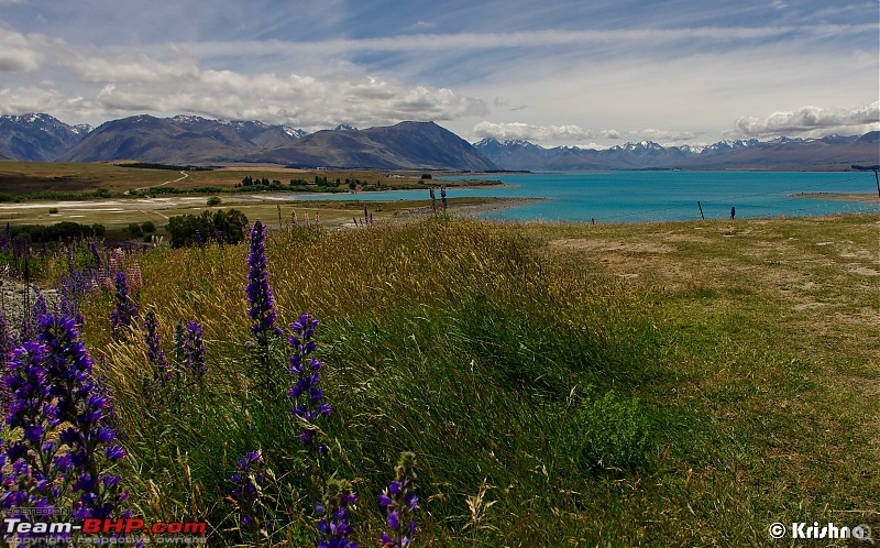 The Dramatic Landscape of South Island, New Zealand-pic5.jpg