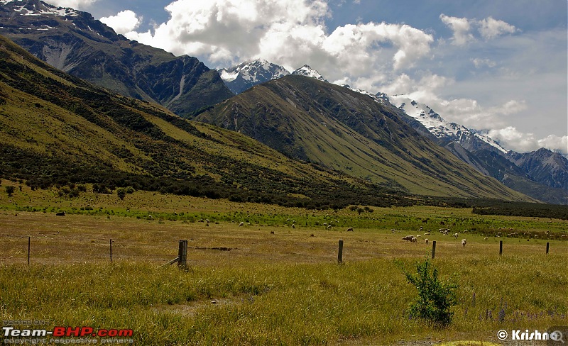 The Dramatic Landscape of South Island, New Zealand-pic20.jpg