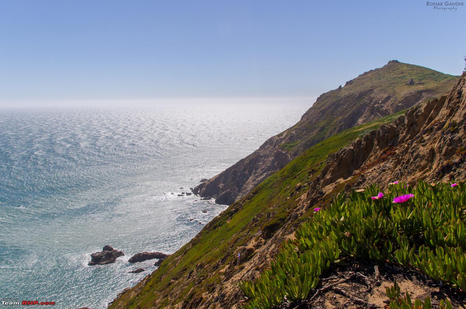things to do in point reyes national seashore