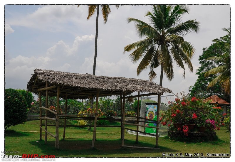 Civved : Kumarakom-dsc_8894edit.jpg