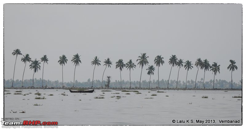 Civved : Kumarakom-dsc_9391edit.jpg