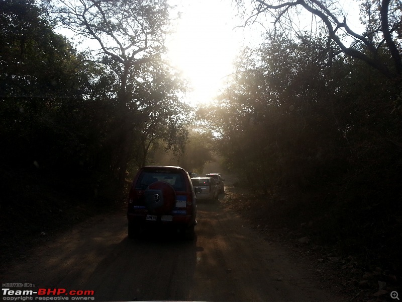 Safari Dicor & Little Rann Of Kutch Experience (Tata Motors Full Throttle)-entering_gir.jpg