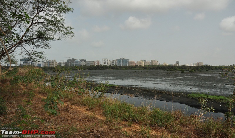 A photographer's paradise in the heart of the Mumbai city-dsc_0645.jpg