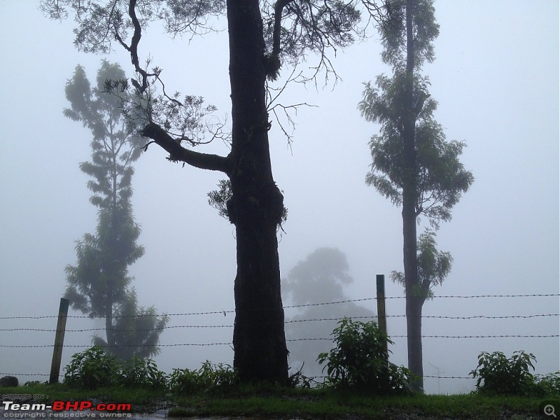 Amongst the misty Blue Mountains- Kochi to Ooty-2.jpg