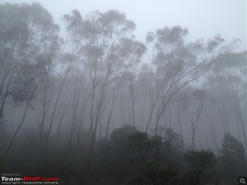 Amongst the misty Blue Mountains- Kochi to Ooty-3.jpg