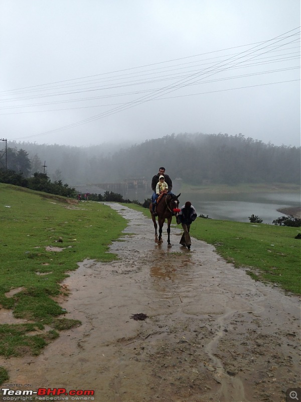 Amongst the misty Blue Mountains- Kochi to Ooty-9.jpg