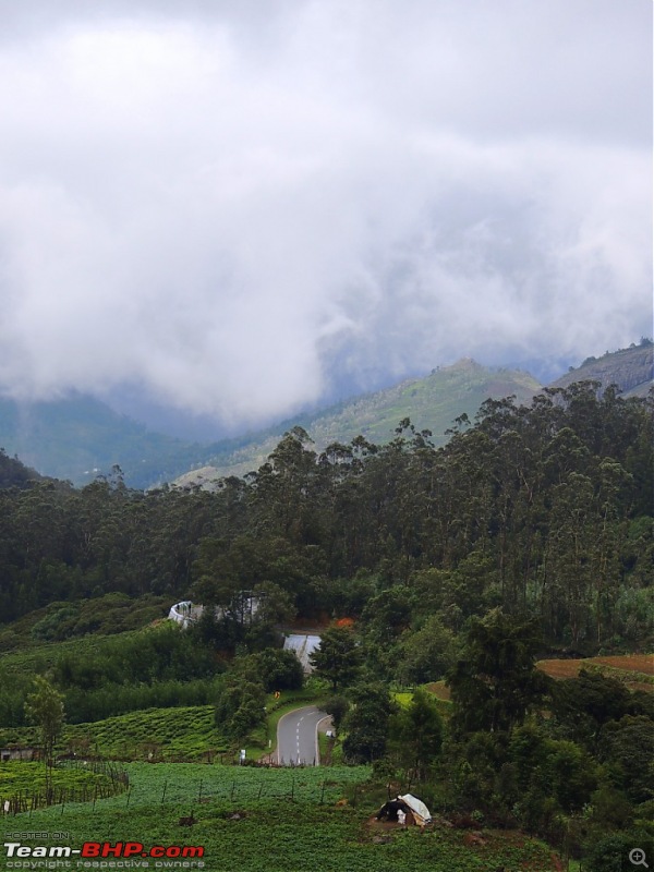 Amongst the misty Blue Mountains- Kochi to Ooty-1.jpg