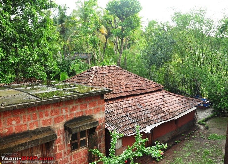 Monsoon 2013: Freshness reloaded (Ratnagiri, Dabhosa-Jawhar, Shilonda, etc)-121-dsc_0953.jpg