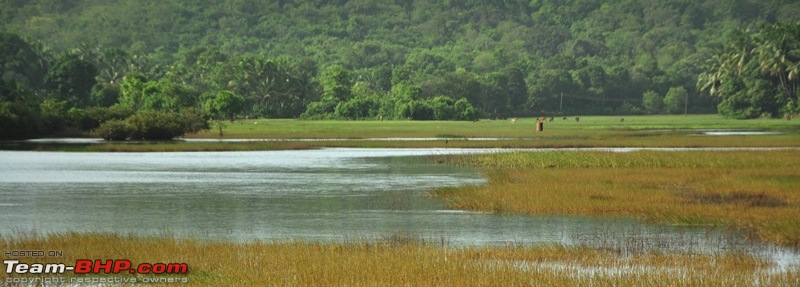 Monsoon 2013: Freshness reloaded (Ratnagiri, Dabhosa-Jawhar, Shilonda, etc)-129-dsc_0960.jpg