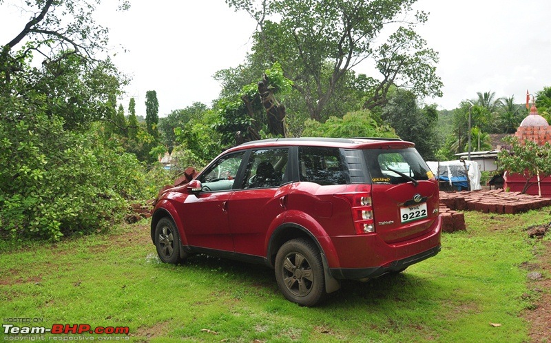 Monsoon 2013: Freshness reloaded (Ratnagiri, Dabhosa-Jawhar, Shilonda, etc)-140-dsc_0981.jpg