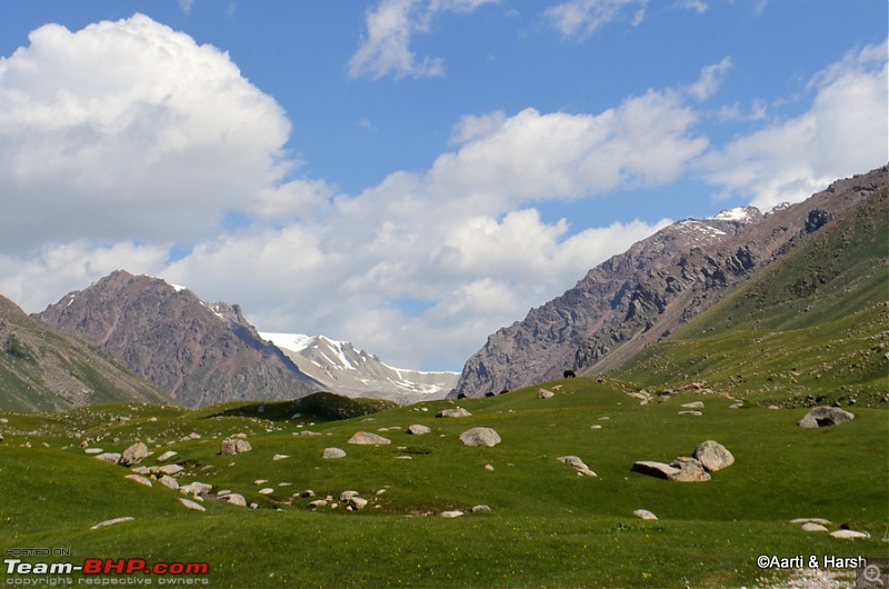 Central Asian Diaries - Kazakhstan & Kyrgyzstan-day08_0031.jpg