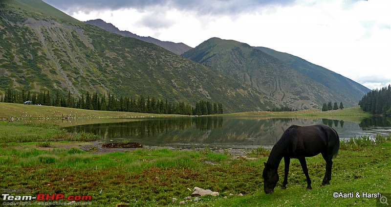 Central Asian Diaries - Kazakhstan & Kyrgyzstan-day08_0120_stitch.jpg